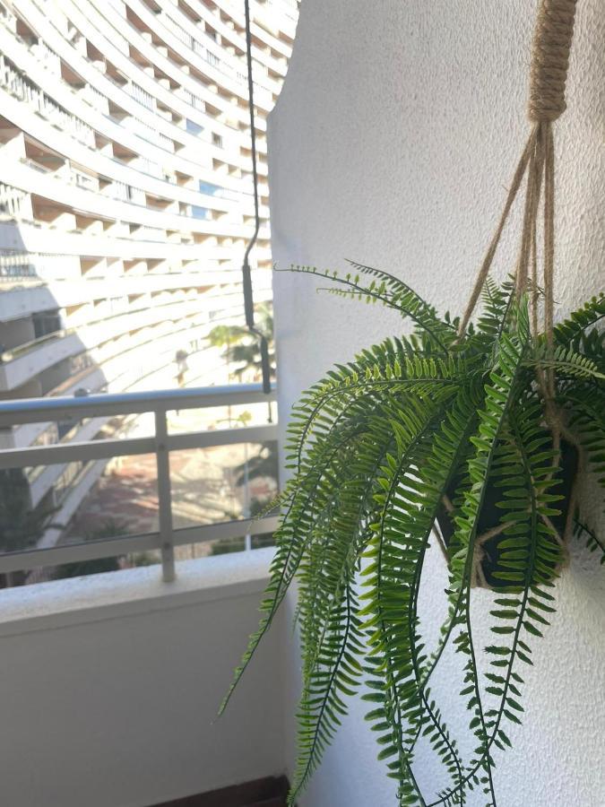 Vive El Mediterraneo - Apartamento Con Piscina En Cullera Esterno foto